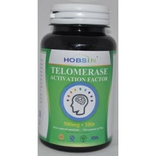 Теломераза